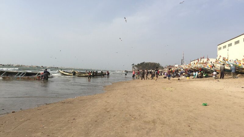 Peche artisanale au Senegal (illustration)